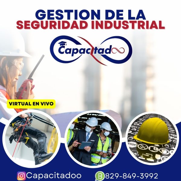 469713684Gestión de Seguridad Industrial_865960452277573_3707745026202125338_n